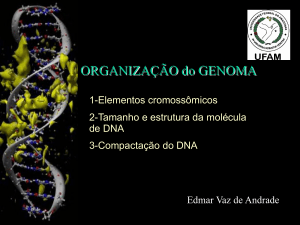 Organização do Genoma