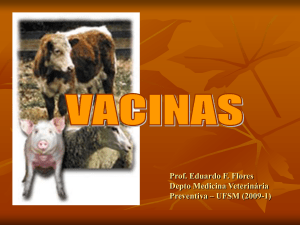 Vacinas 5 - Setor de Virologia UFSM