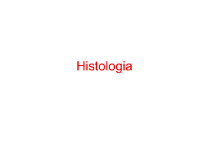 aula-de-histologia-do-8-c2ba-ano