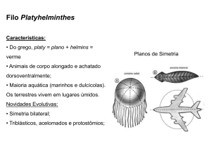 Filo Platyhelminthes (Platelmintos)