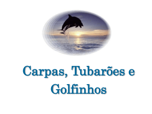 Carpas, Tubaroes e Golfinhos.pps