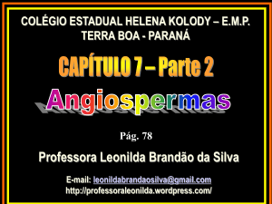Parte 2 – Angiospermas - Professora Leonilda