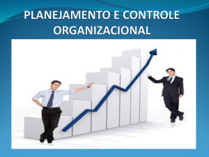 planejamento e controle organizacional