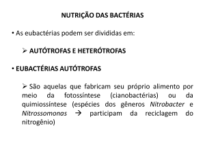 Respiração anaeróbica