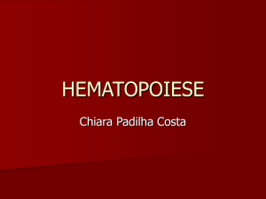 HEMATOPOIESE