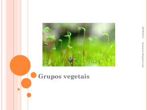 Grupos vegetais - Comunidades.net