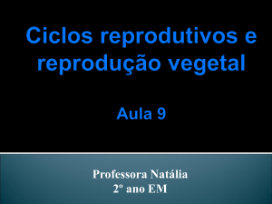 Ciclos reprodutivos e reprodução vegetal Aula 9
