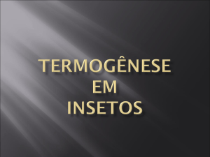 Termogênese em Insetos