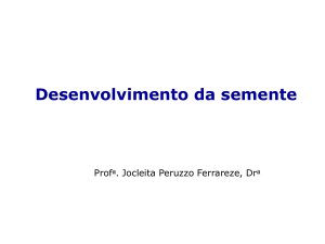 Apresentação do PowerPoint