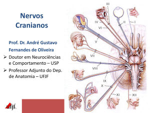 Apresentação do PowerPoint