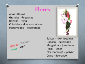 Flores - SlideBoom