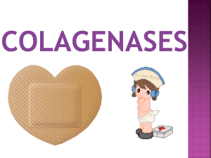 Colagenases 1