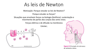 As leis de Newton - Páginas Pessoais