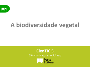 Biodiversidade vegetal