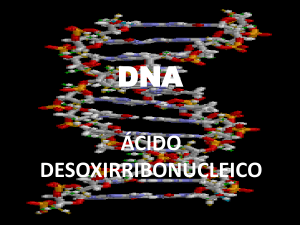 DNA