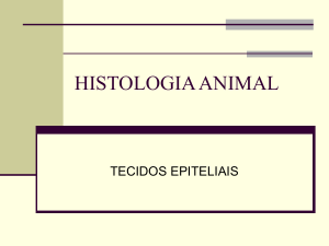 HISTOLOGIA ANIMAL-1