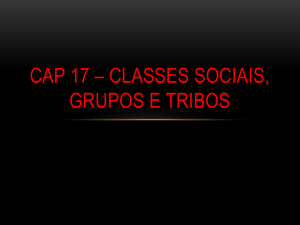 CLASSES SOCIAIS, GRUPOS E TRIBOS