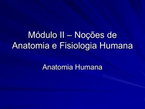 Módulo I * Noções de Anatomia e Fisiologia Humana