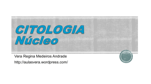 5 CITOLOGIA NUCLEO cell VRMA 2015