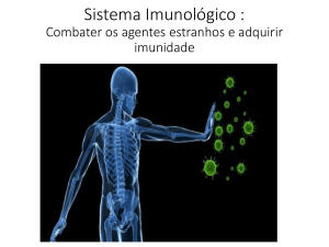 Sistema Imunológico : Defesa do organismo