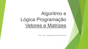 Vetores e Matrizes - Professor Douglas Santos