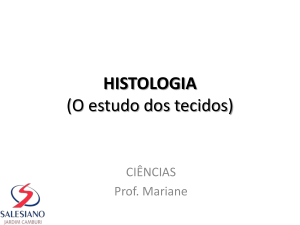 histologia - Educacional