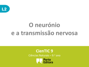 l2- O neurónio e a transmissão nervosa