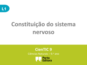 l1-Constituição do sistema nervoso