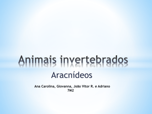Animais invertebrados