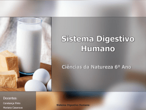 O Sistema Digestivo no Homem (atualizado).