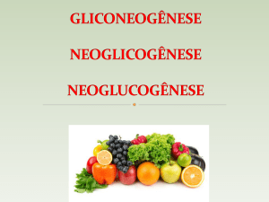 GLICONEOGÊNESE NEOGLICOGÊNESE