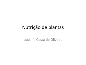 Nutrição de plantas