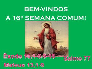 Slide 1 - Comunidades.net