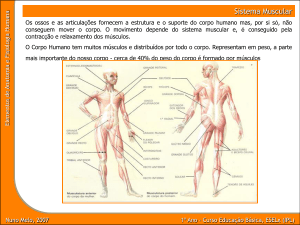 tipos de tecido muscular