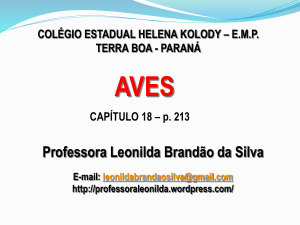 Apresentação do PowerPoint - Professora Leonilda