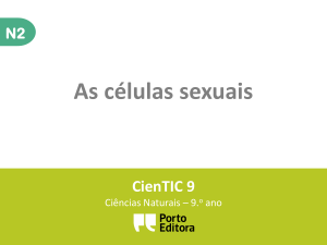 n2-Células sexuais - Ciências Naturais CNSF