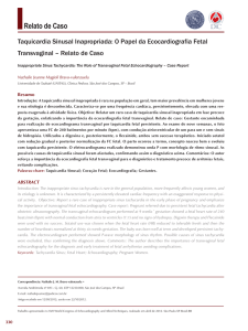 O Papel da Ecocardiografia Fetal Transvaginal – Relato de Caso