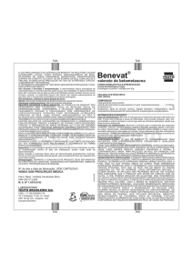 Benevat (402054-08)