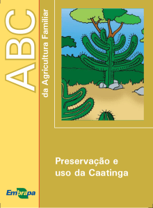 Preservação e uso da Caatinga - Ainfo