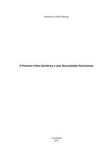 O Paciente Felino Geriátrico e suas Necessidades