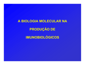 a biologia molecular na produção de imunobiológicos