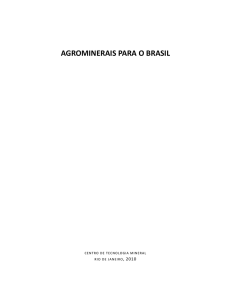 rochas, minerais e rotas tecnológicas para a produção de