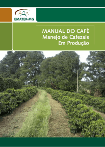 MANUAL DO CAFÉ Manejo de Cafezais Em