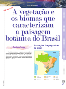 Formações fitogeográficas do Brasil