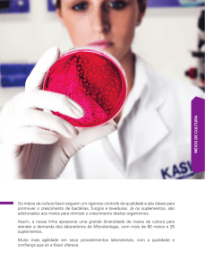 marca kasvi