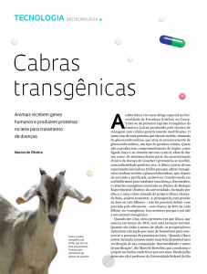 Cabras transgênicas - Revista Pesquisa Fapesp