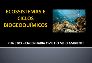 PHA3203 - Aula 3 - Ecossistemas e Ciclos Biogeoquímicos 2017