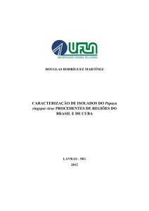 Caracterização de isolados do Papaya ringspot virus - PRPG
