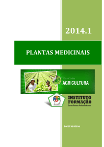 plantas medicinais - Instituto Formação