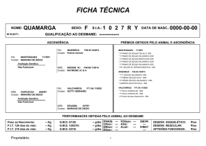 Ficha Técnica